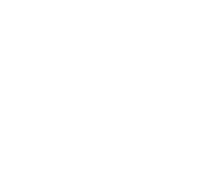 Brom-Mandli_Kompetenzen White FINAL